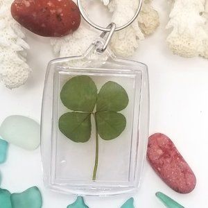 Genuine Four Leaf Clover in Keychain Good Luck Charm REAL 4 Leaf Clover, 2"L